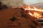 Las víctimas del incendio de Los Gallardos, entre ellas cuatro británicos, eligieron escapar por una rambla que se convirtió en una "verdadera trampa"