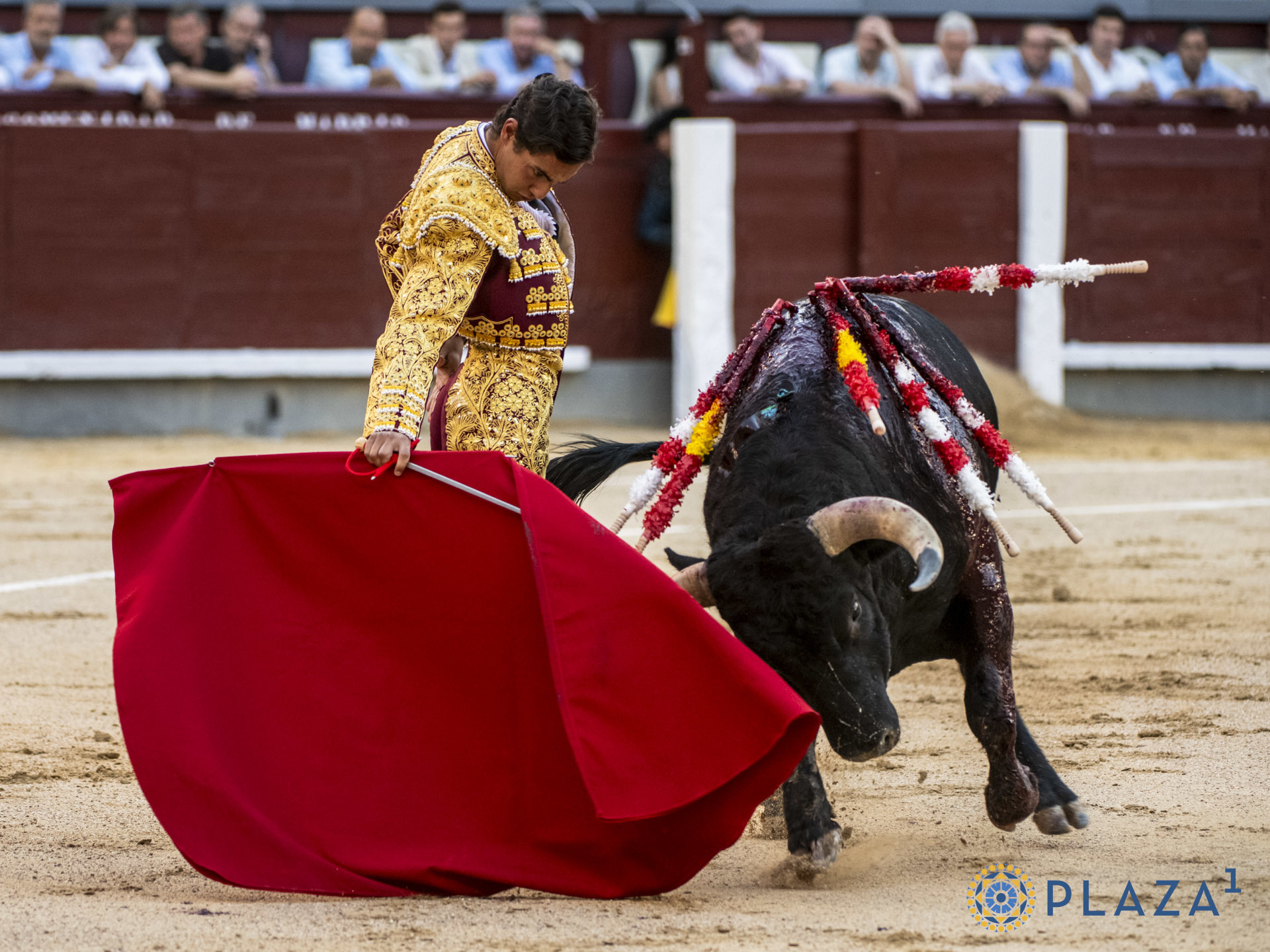 Oreja para la capacidad y el compromiso de Nacho Torrejón en las nocturnas de Las Ventas