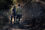 Riesgo extremo de incendio en 57 municipios de Cataluña: parques naturales cerrados y una localidad confinada