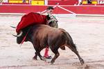 La mala suerte de una corrida muy movida de La Palmosilla en Pamplona