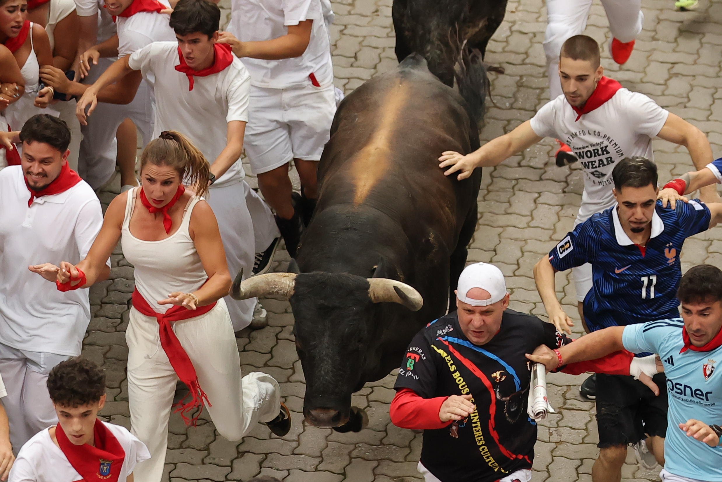 Séptimo encierro de San Fermín: los miuras compiten por la cabeza de manada