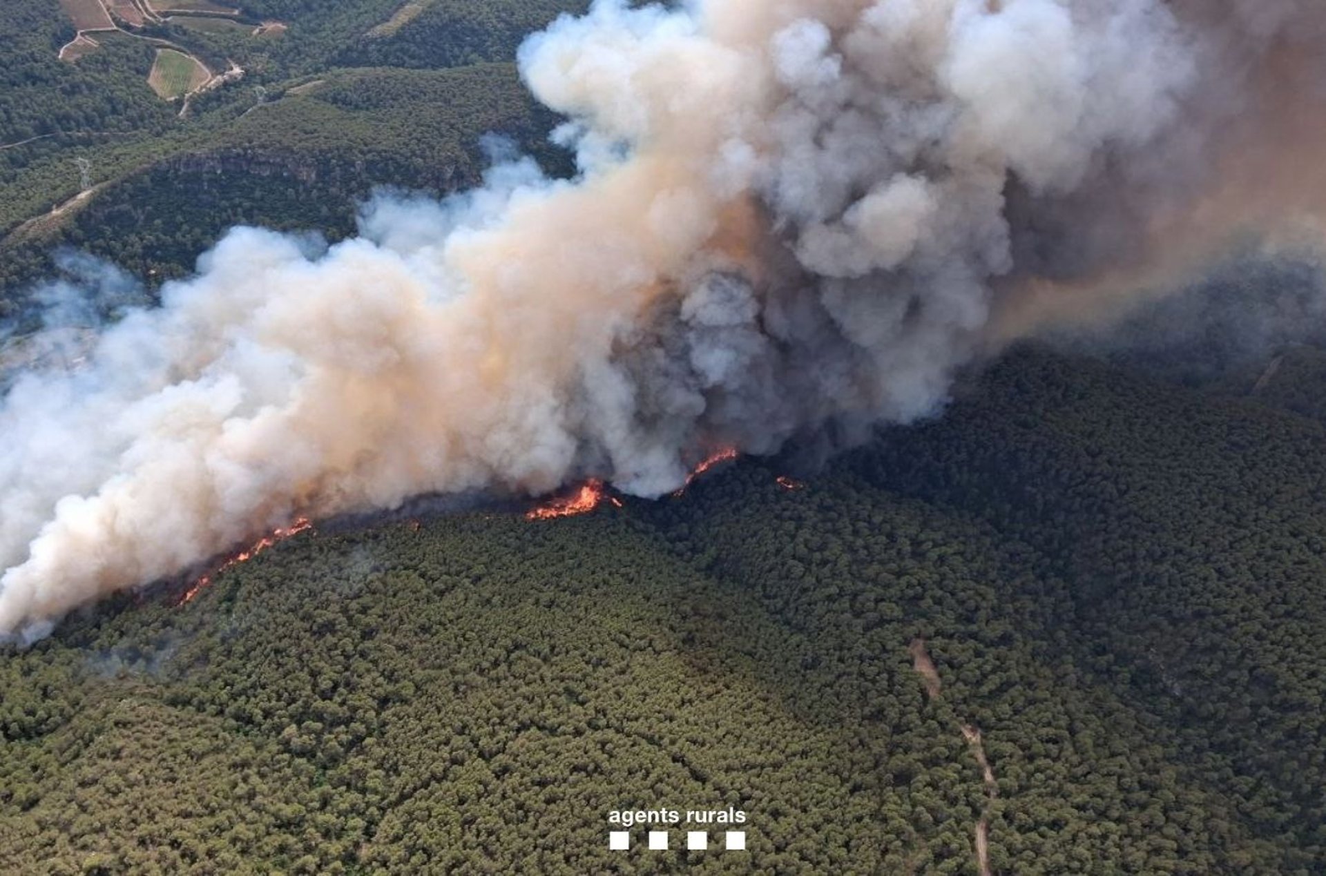 Un nuevo incendio en Aiguamúrcia (Tarragona) obliga a evacuar a entre 300 y 400 vecinos de cuatro urbanizaciones