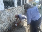 Invasión en Asturias: vecinos de Tineo abandonan sus hogares por una incontrolable plaga de gusanos negros
