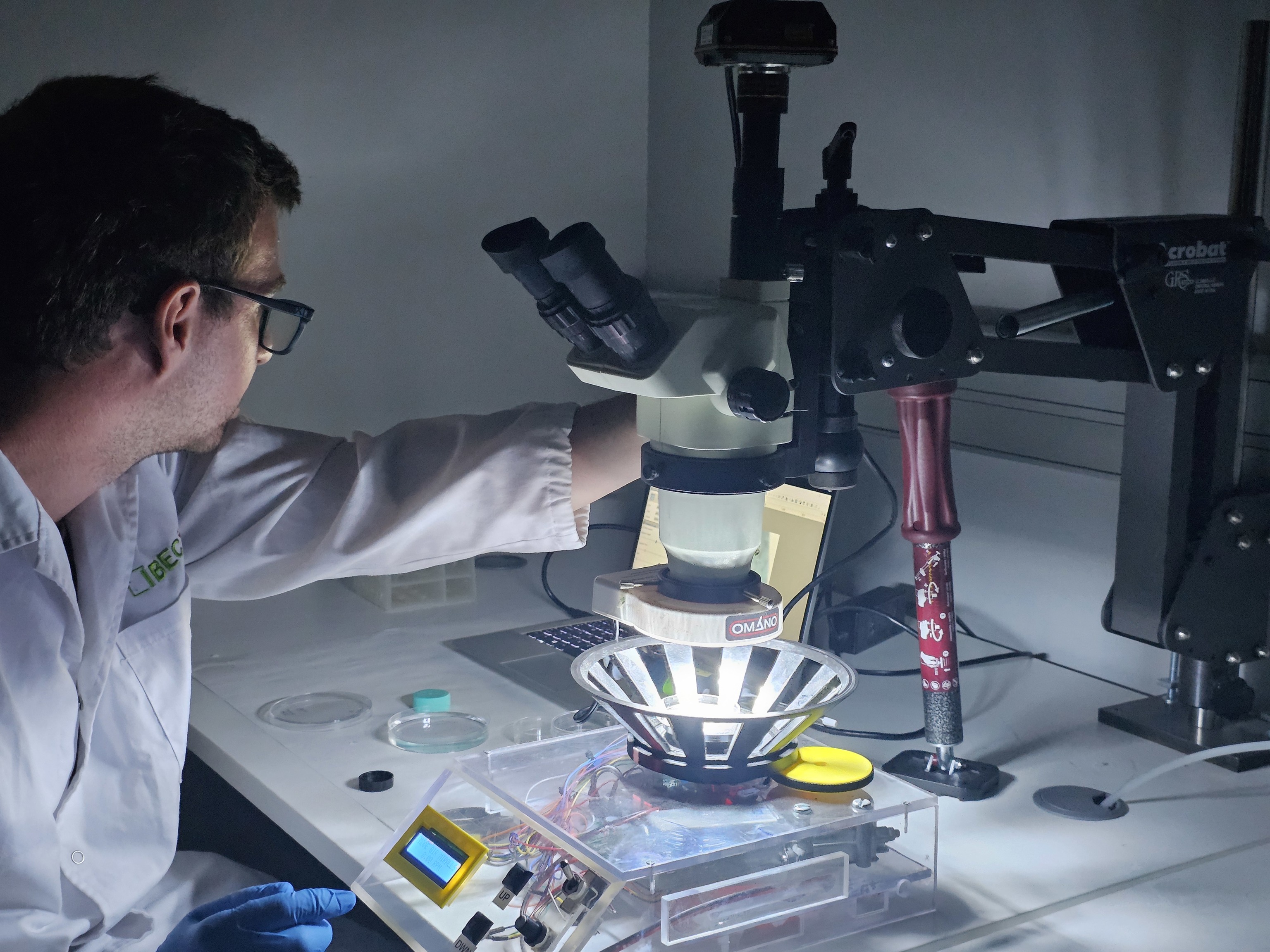 "Prótesis molecular" para la retina dañada: crean fármacos activados por luz que restauran la visión en ratones ciegos