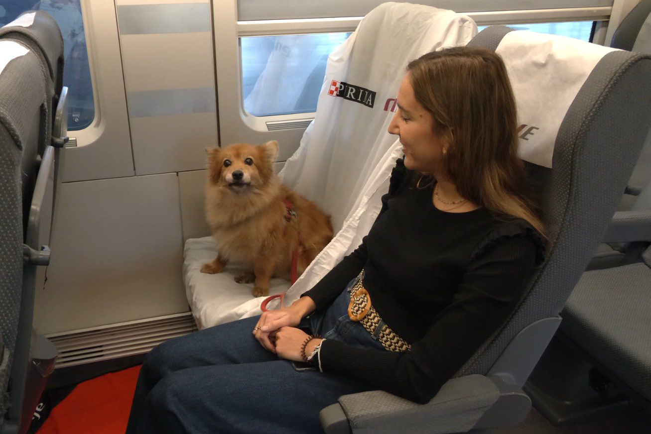 Los perros podrán ocupar una plaza en los trenes de Renfe: 40 euros por trayecto y junto a la ventanilla