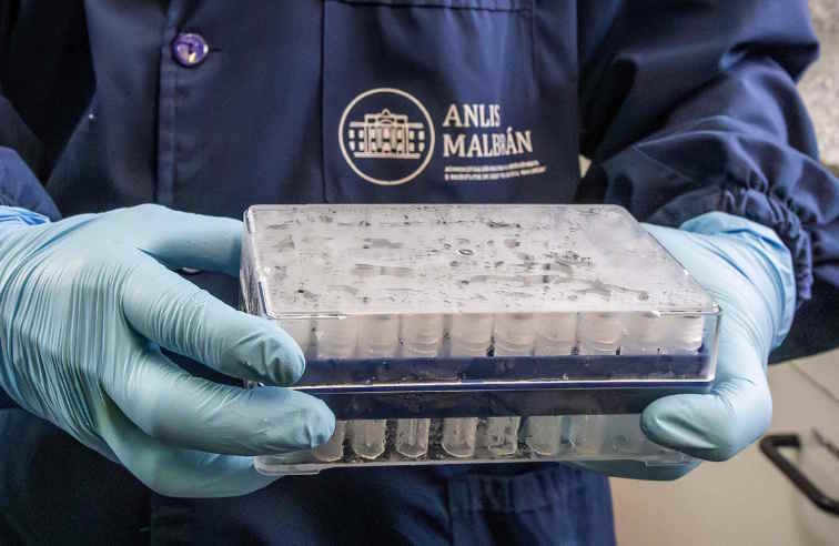 El Gobierno venezolano confirma tres muertes por hantavirus, aunque descarta que dos médicos fallecidos en Barinas estuvieran infectados