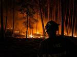 90.000 hectáreas arrasadas por los incendios en España: nuevos evacuados en Guadalajara, mientras efectivos combaten el fuego en Huelva y Teruel
