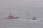 Un grupo de orcas provoca el hundimiento de un velero en Estaca de Bares (A Coruña) y obliga a rescatar a los dos tripulantes