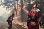 El Gobierno declara la emergencia de interés nacional en Madrid y Ávila por los incendios