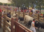 Un herido por asta de toro en el primer encierro de las fiestas de Tudela (Navarra)