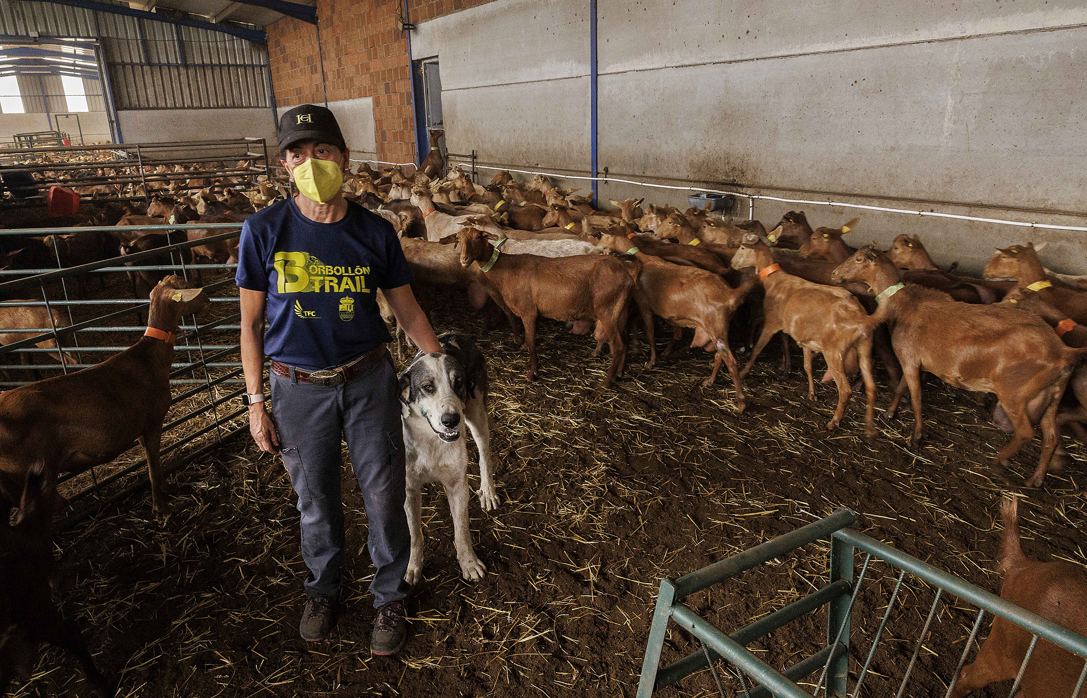 Los atrincherados ante el fuego que desobedecen la orden de desalojo: "Me quemo con mis cabras"
