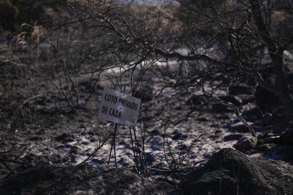 Así se deben reclamar a las aseguradoras las indemnizaciones por los daños de los incendios