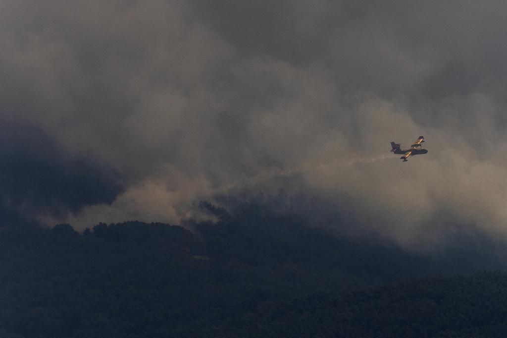 Yo necesito un hidroavión, tú me das un eslogan