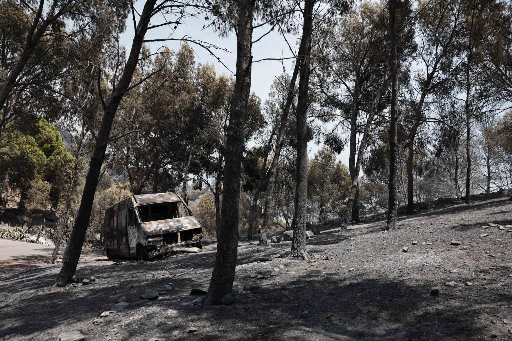 La ola de calor irrumpe en la lucha contra el fuego y complica las labores de extinción: "Es muy difícil hacer pronósticos"
