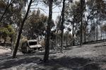 La ola de calor irrumpe en la lucha contra el fuego y complica las labores de extinción: "Es muy difícil hacer pronósticos"
