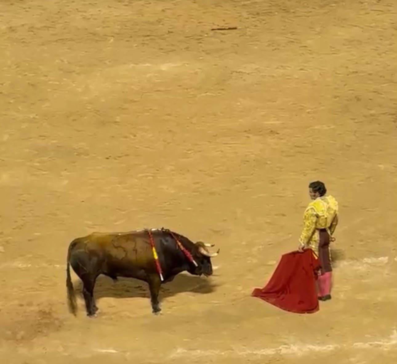 Morante de la Puebla, cogido en la nocturna de Palma de Mallorca