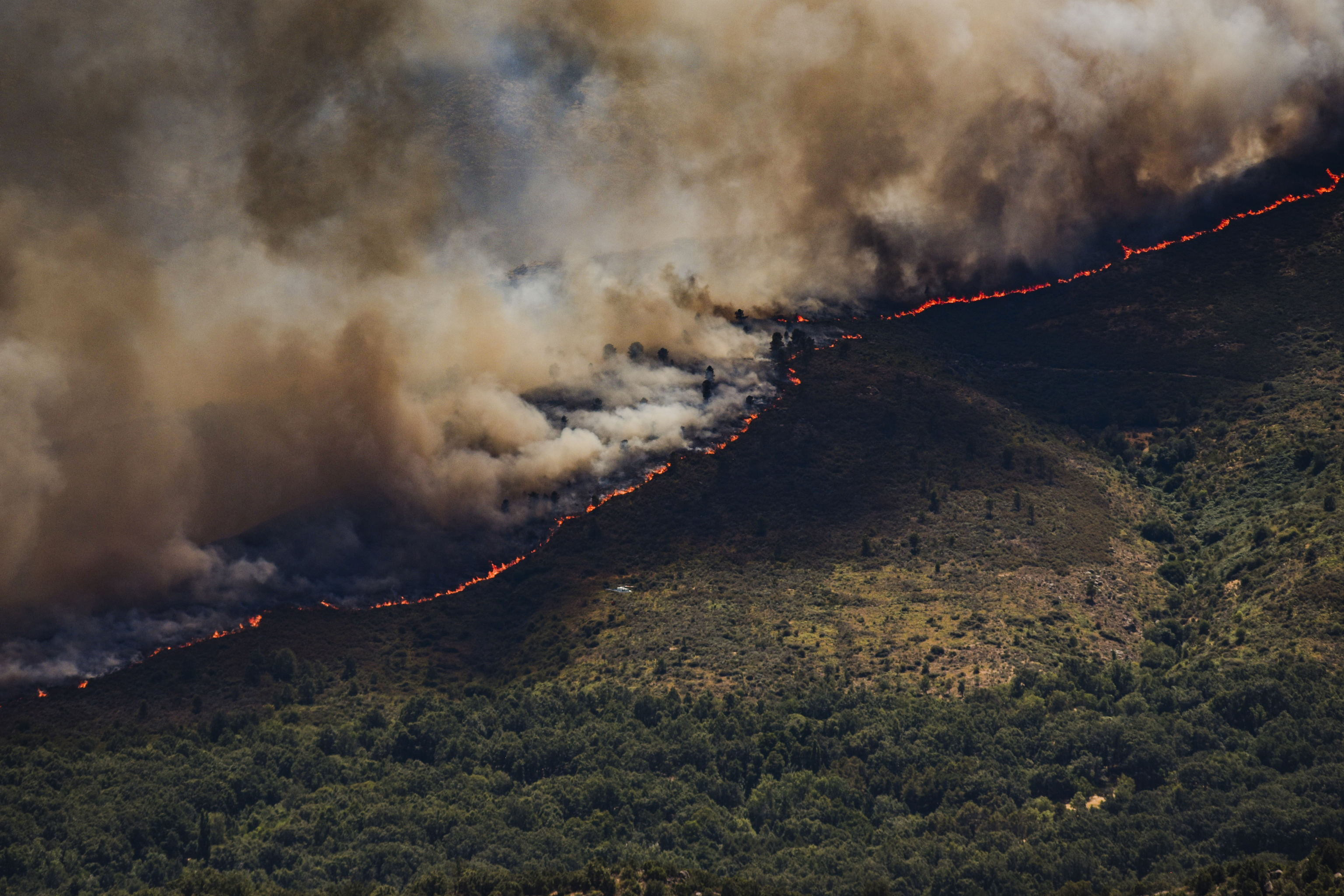 Anatomía de los incendios en España en este siglo: 9.493 provocados por una chispa de maquinaria, como el caso de 'El Perejil'