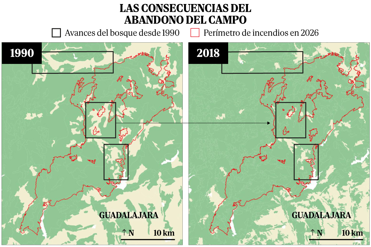 ¿Cómo se ha convertido España en un polvorín? El cóctel que ha propiciado los devastadores incendios forestales, en gráficos