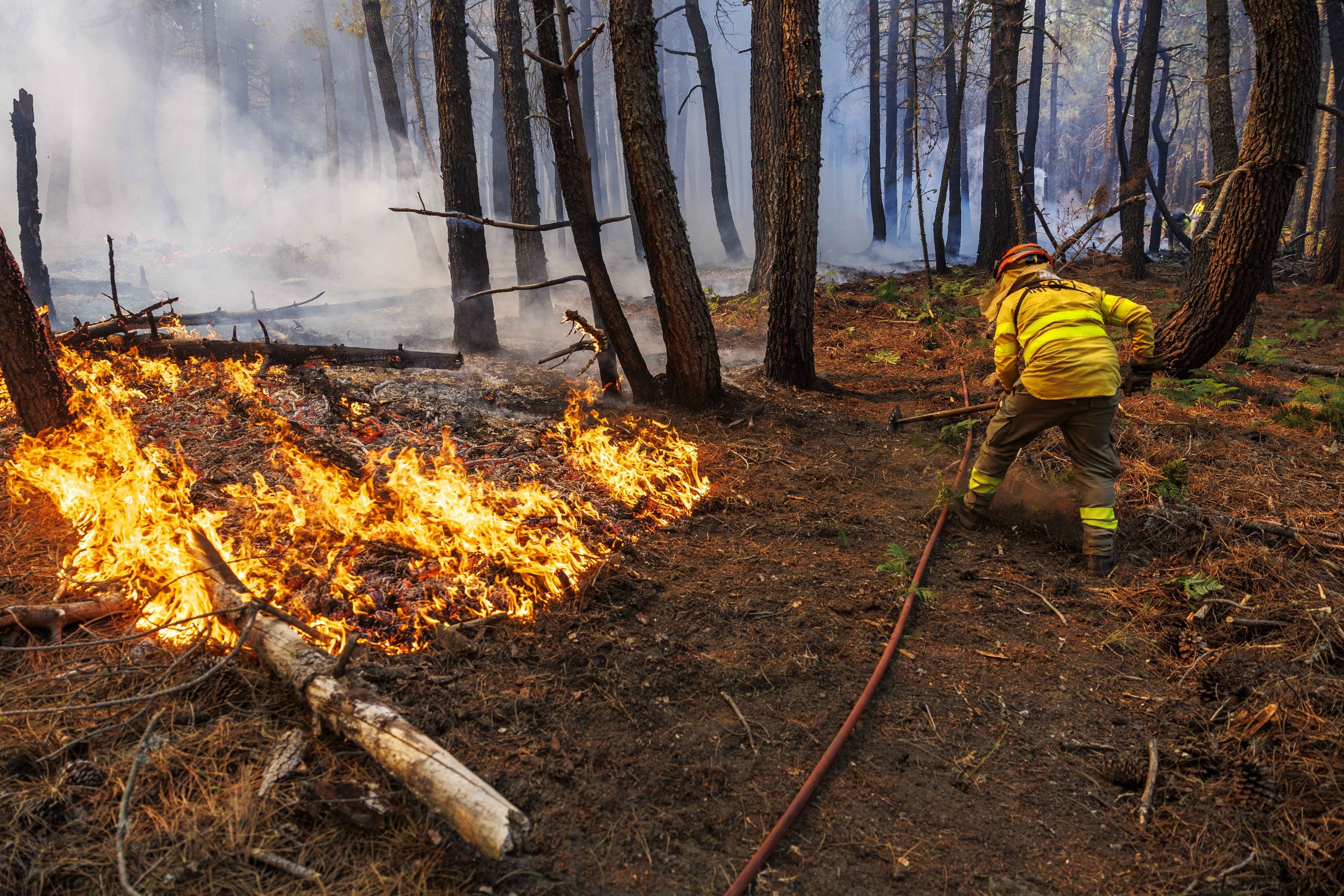 Los expertos urgen a alcanzar un Pacto de Estado contra incendios: "No es cuestión de ser de derechas o de izquierdas, nuestro futuro depende de ese acuerdo"