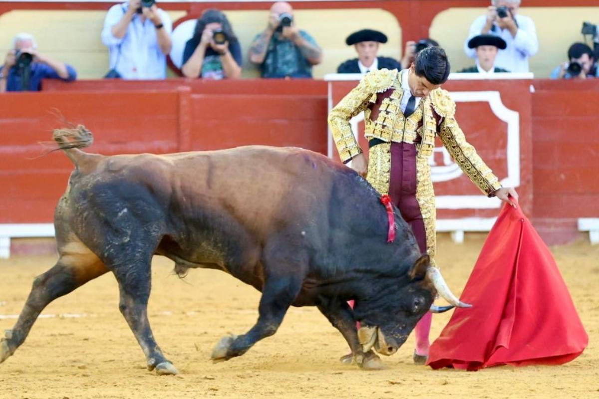 Y Pablo Aguado fue el suceso del día después en El Puerto de Santa María