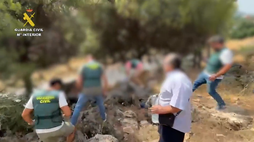 El detenido por un crimen en 2020 en Coín (Málaga) confiesa haber descuartizado el cadáver