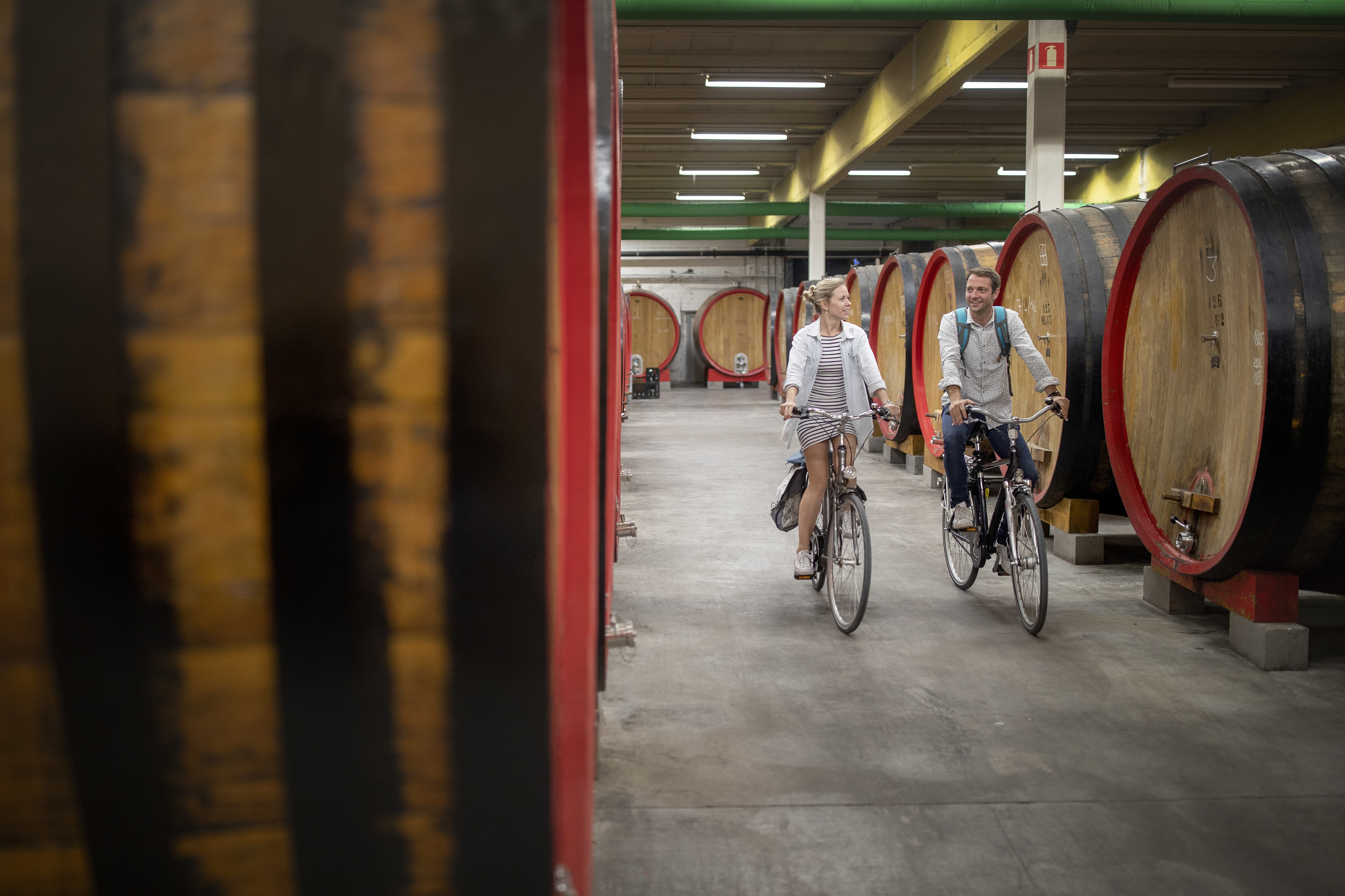 ¿Fan del ciclismo y las cañas bien frías? Nuevas rutas en bici por los paisajes de cultura cervecera de la Unesco
