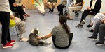 Madrid implanta un programa pionero y terapéutico con perros para personas con trastorno mental grave