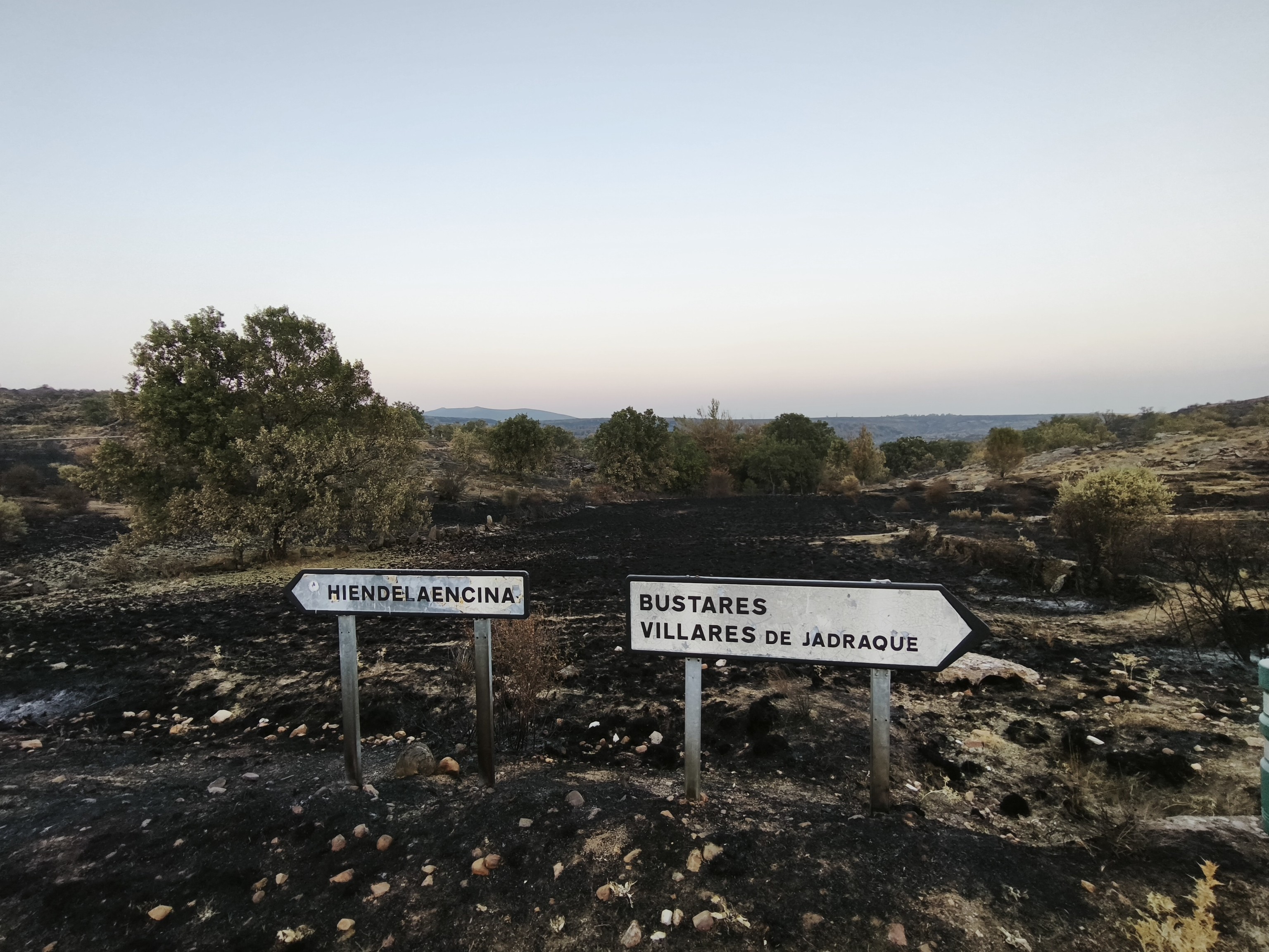 Cuidar el monte y el clima: las dos cosas