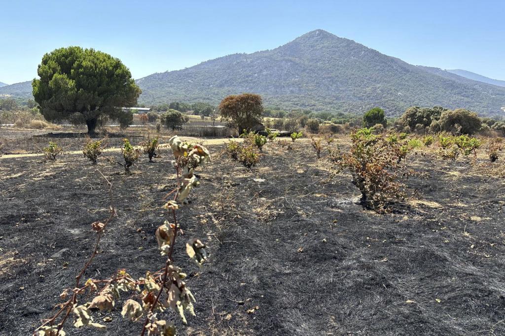 Aemet advierte del peligro de incendios "muy alto o extremo" el día del eclipse