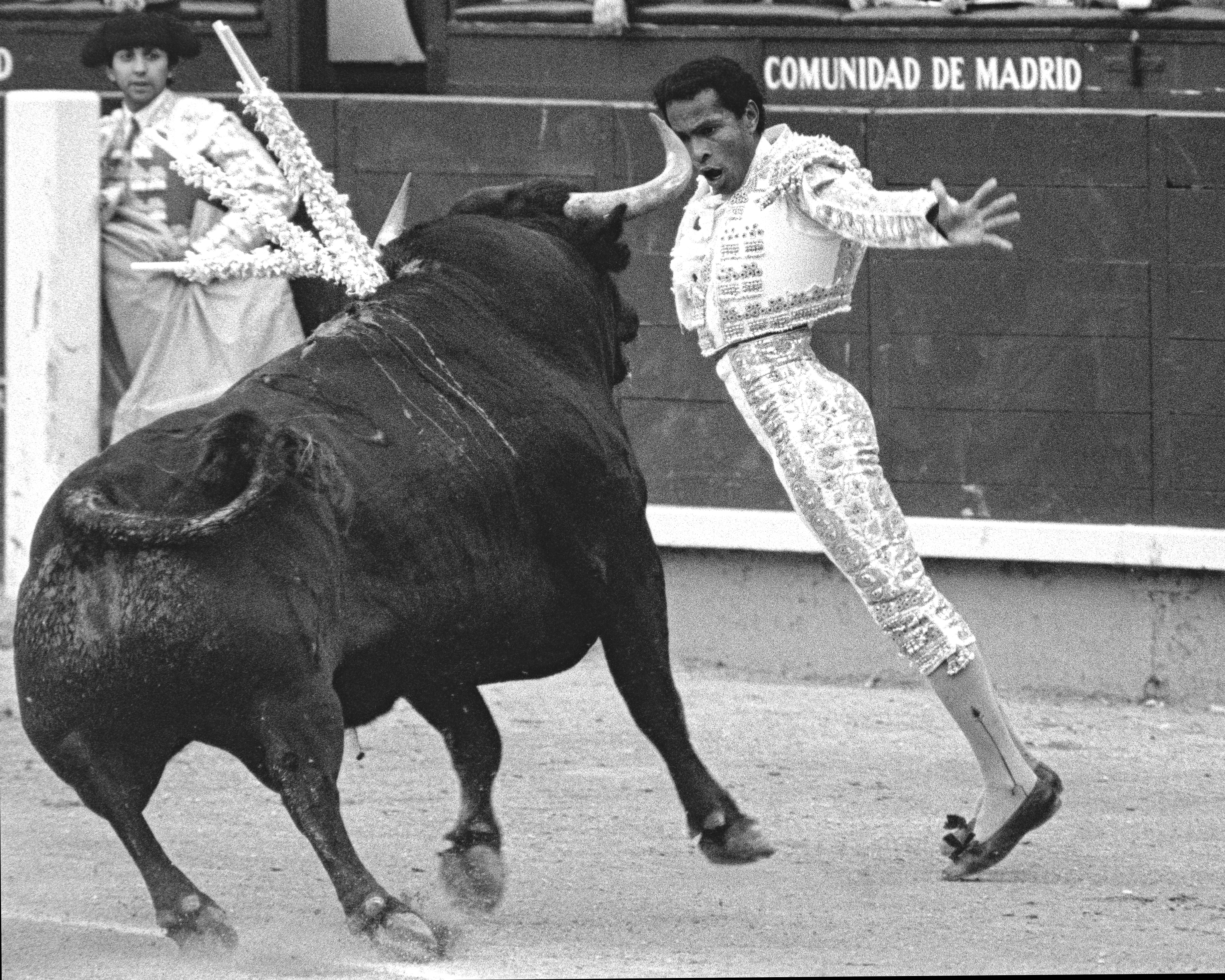 Morenito de Maracay: "Jamás sufrí racismo en las plazas de toros de España"