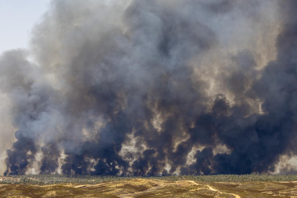 El incendio forestal en Niebla (Huelva) obliga al desalojo de unas 340 personas de varias localidades
