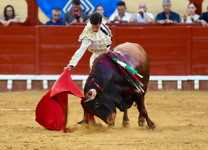Imagen