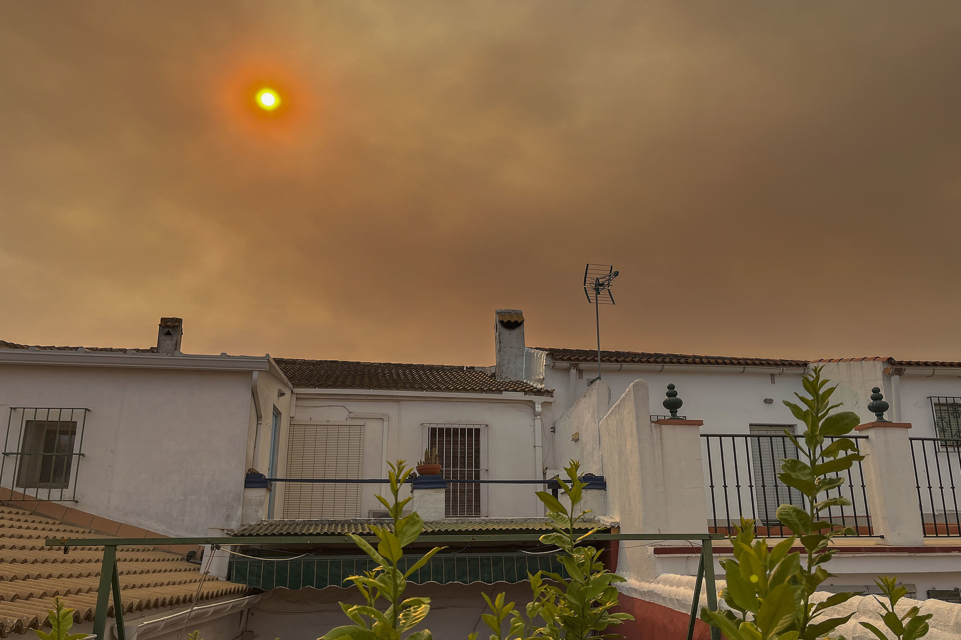 El incendio de Niebla (Huelva) no supera la provincia ni ofrece "ventana de oportunidad"