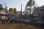 Un millón de euros para retirar arizónicas en viviendas próximas a áreas forestales de Madrid