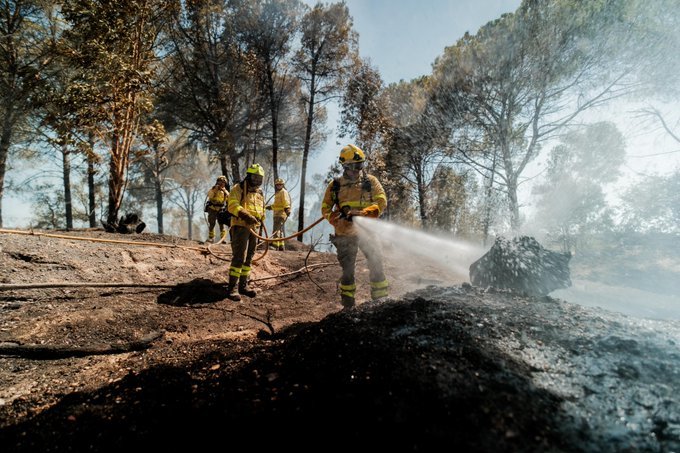 El incendio de Niebla devuelve a Berrocal (Huelva) a la pesadilla de 2004: "Somos un pueblo muerto, como nuestra tierra"