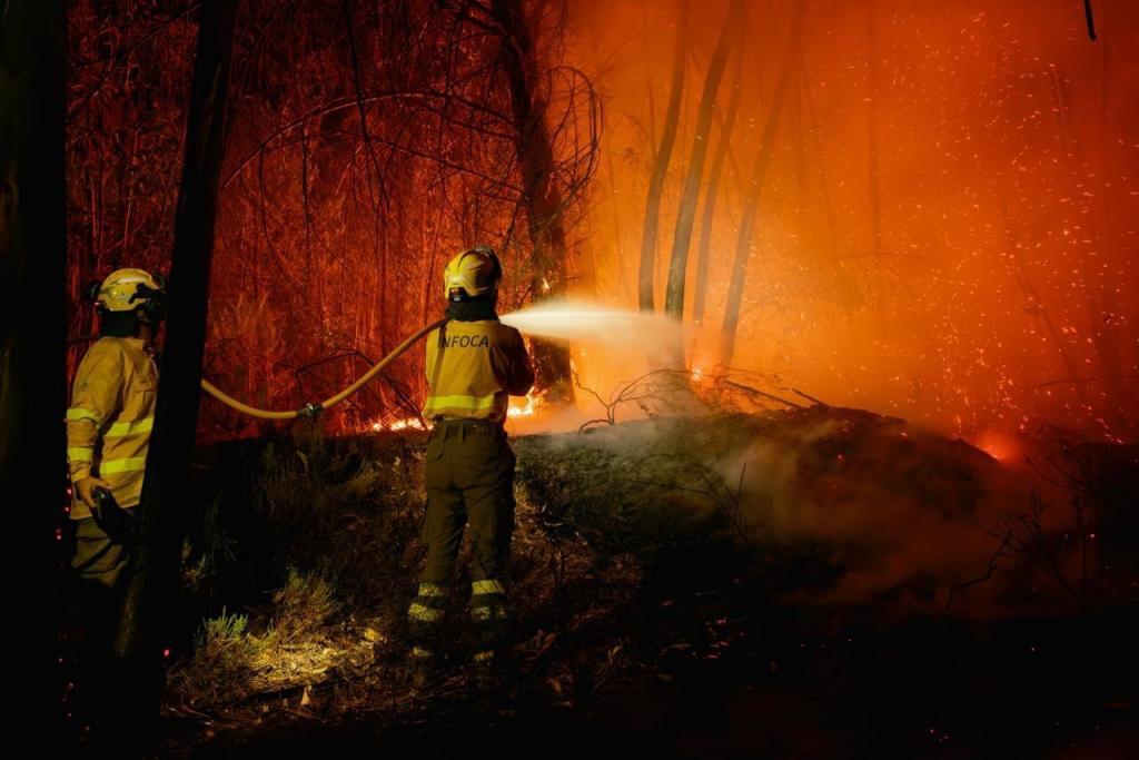 El "cóctel perfecto" que alimenta el incendio de Niebla y dificulta su extinción: una densa masa de eucaliptos, ausencia de campos de cultivo y circunstancias meteorológicas extremas