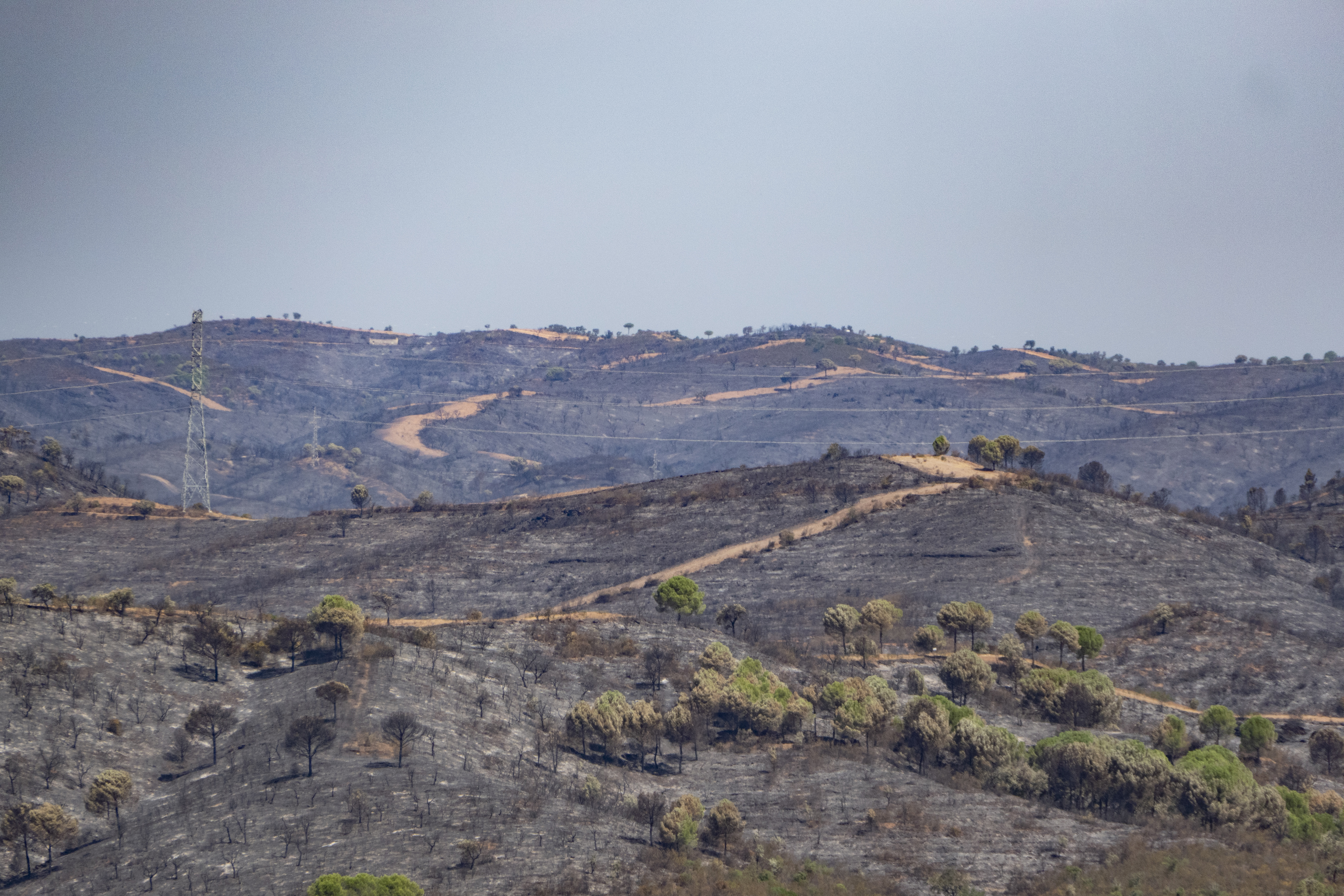 Estabilizado el incendio de Niebla (Huelva) y las 417 personas evacuadas pueden regresar a sus hogares