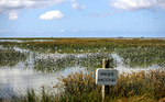 El Gobierno amenaza Doñana con la expropiación de su marisma