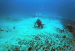 Muere un joven submarinista de 20 años en las costas de Tenerife mientras practicaba buceo a pulmón