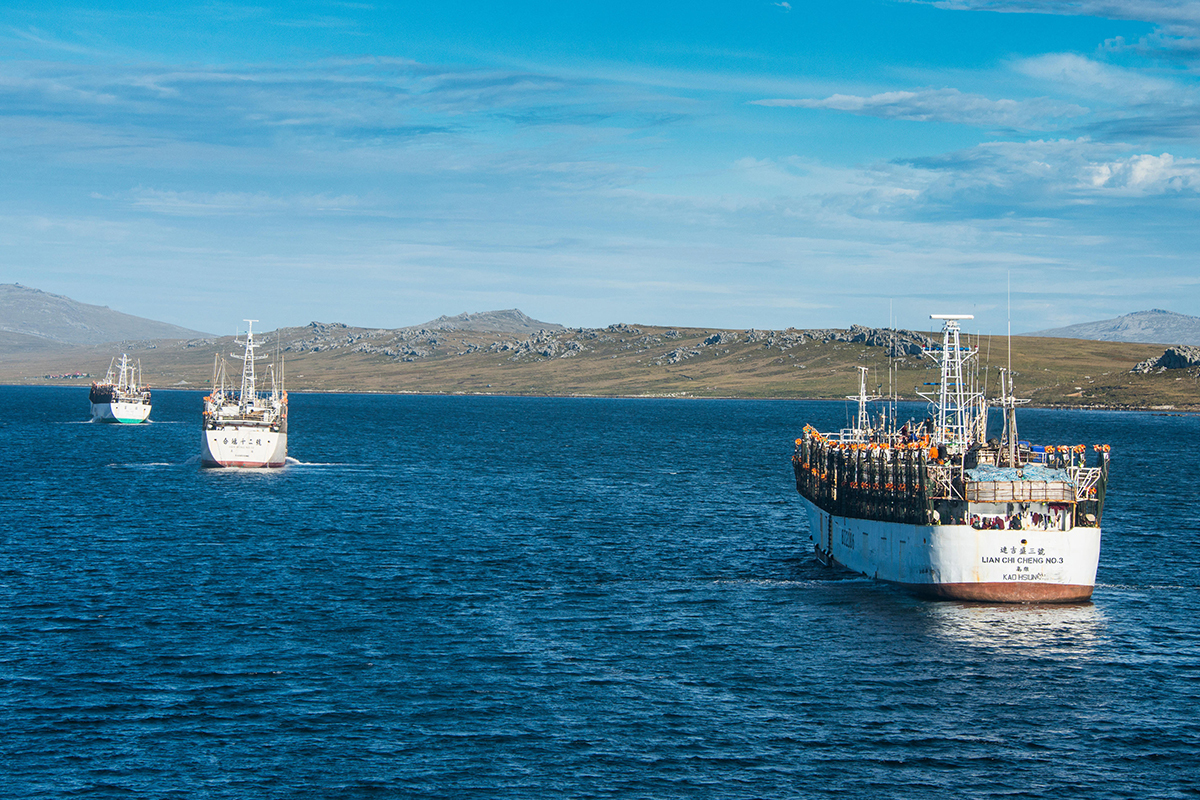 La amenaza que paraliza a la flota española de las Malvinas: ¿por qué ha desaparecido el gran caladero del calamar?