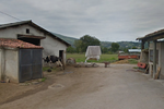 Muere un ganadero de 58 años tras sufrir la cornada de uno de sus toros en Saro (Cantabria)
