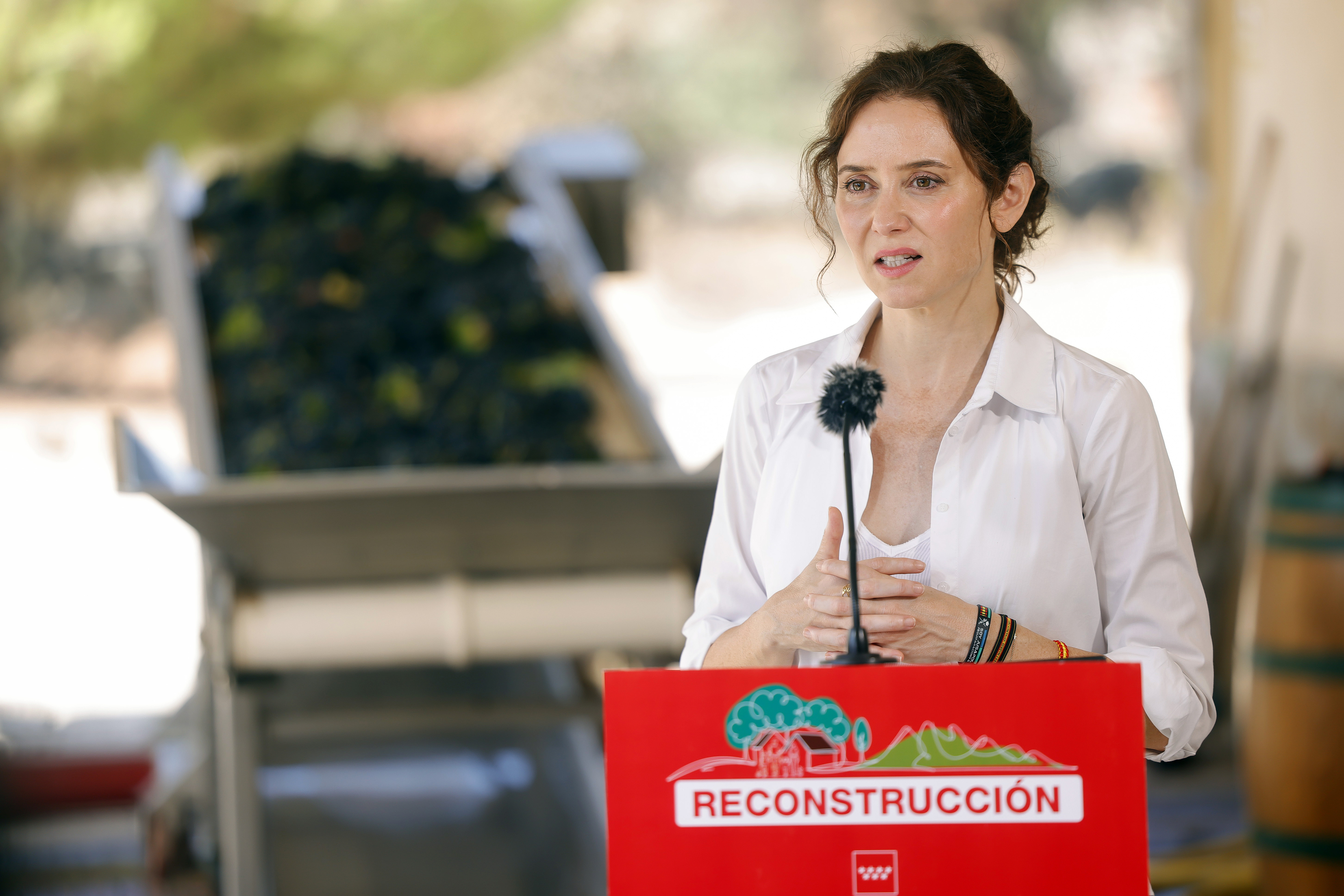 Ayuso recalca que ya ha "dicho todo" sobre el ático y zanja el asunto: "Está en venta, chao pescao"