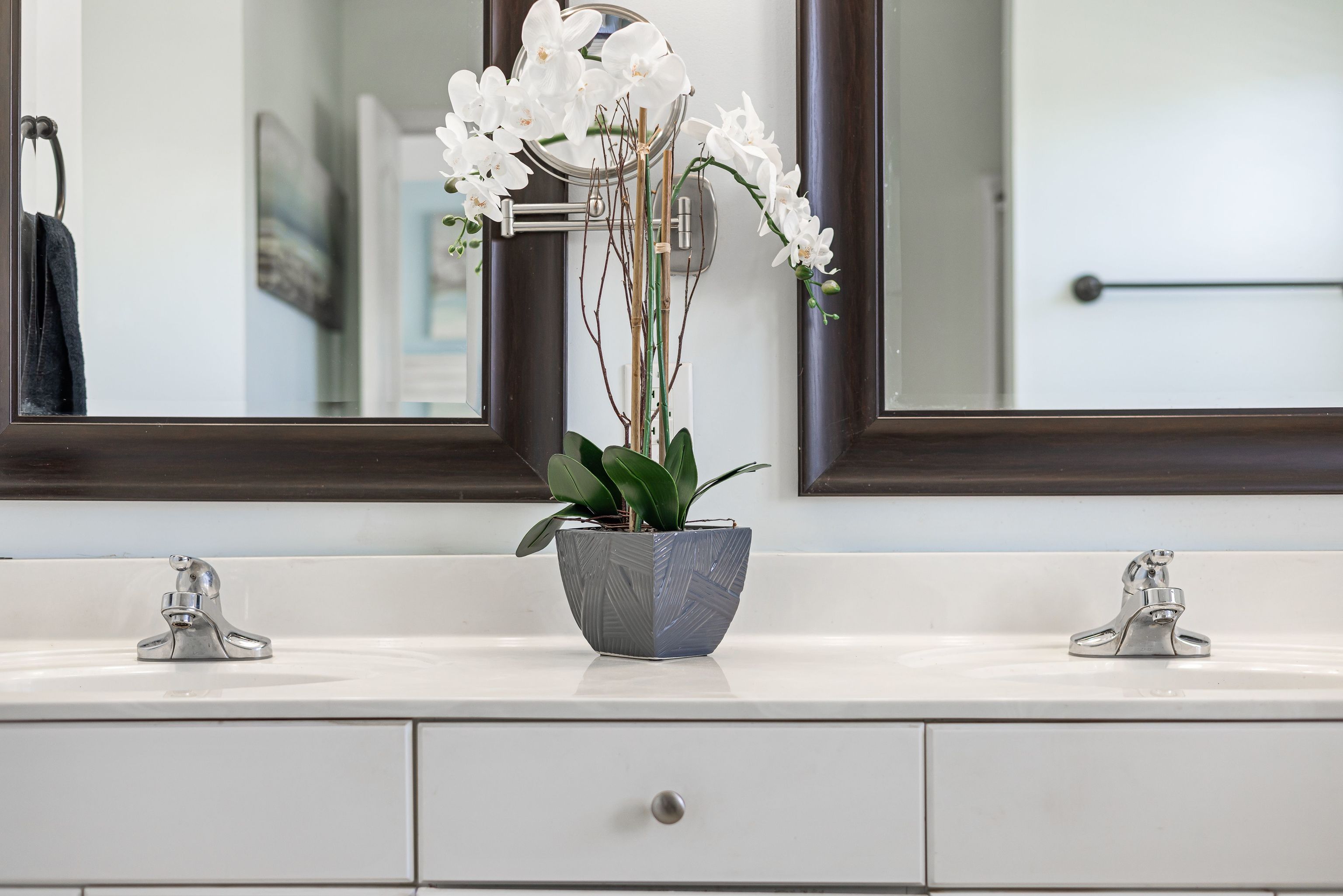 9 plantas ideales para tener en el baño: aguantan la humedad y la poca luz