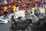 Diez heridos en el primer encierro de San Sebastián de los Reyes, que ha contado con 1.800 corredores