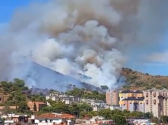 Un incendio forestal obliga a confinar dos barrios de Barcelona