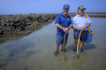 Domingo, Andrés y los últimos de los Corrales: los pescadores que protegen un arte milenario, ahora también contra el alga asiática