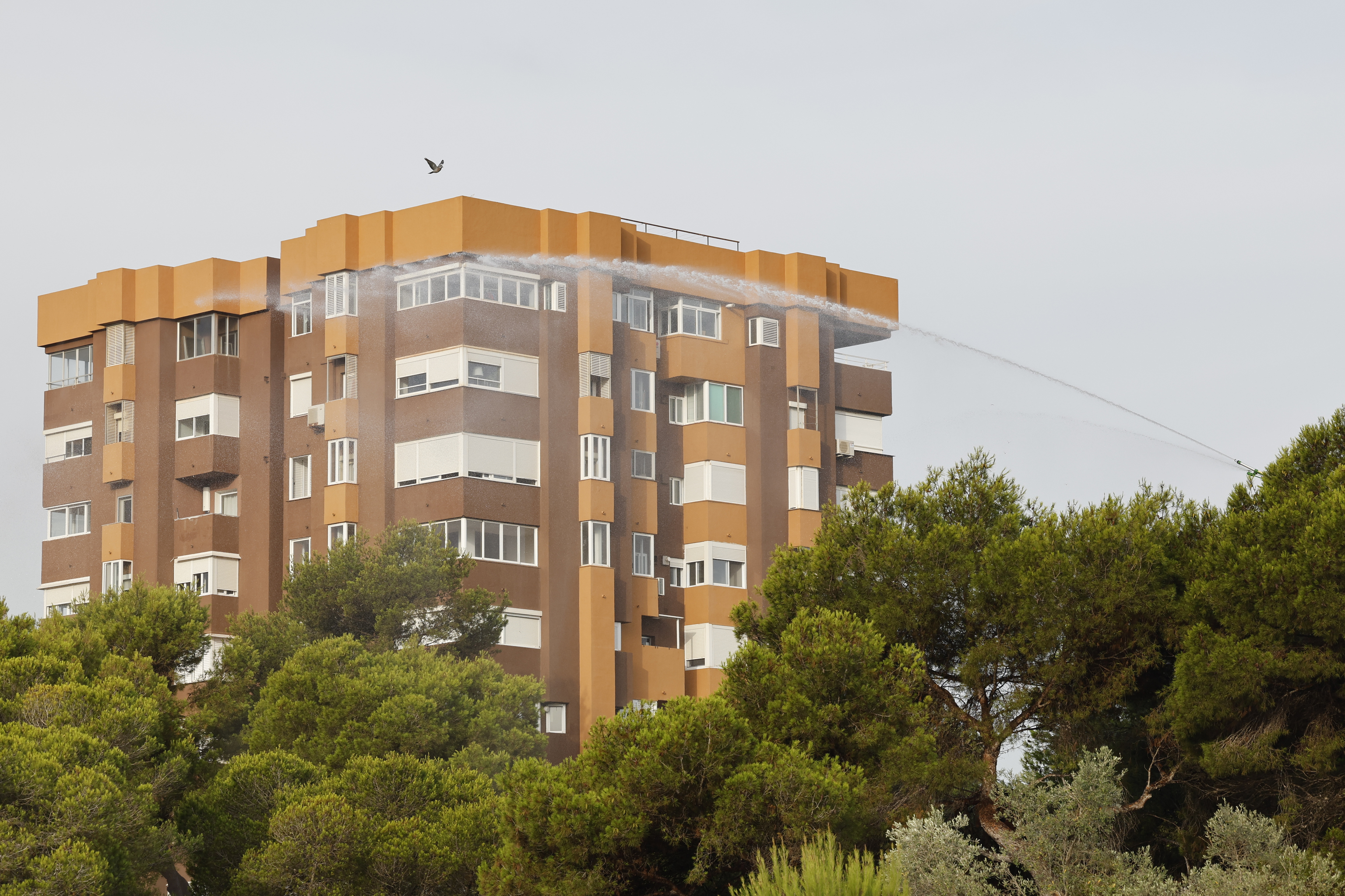 Activados tres medios aéreos por un posible incendio en la Devesa de El Saler
