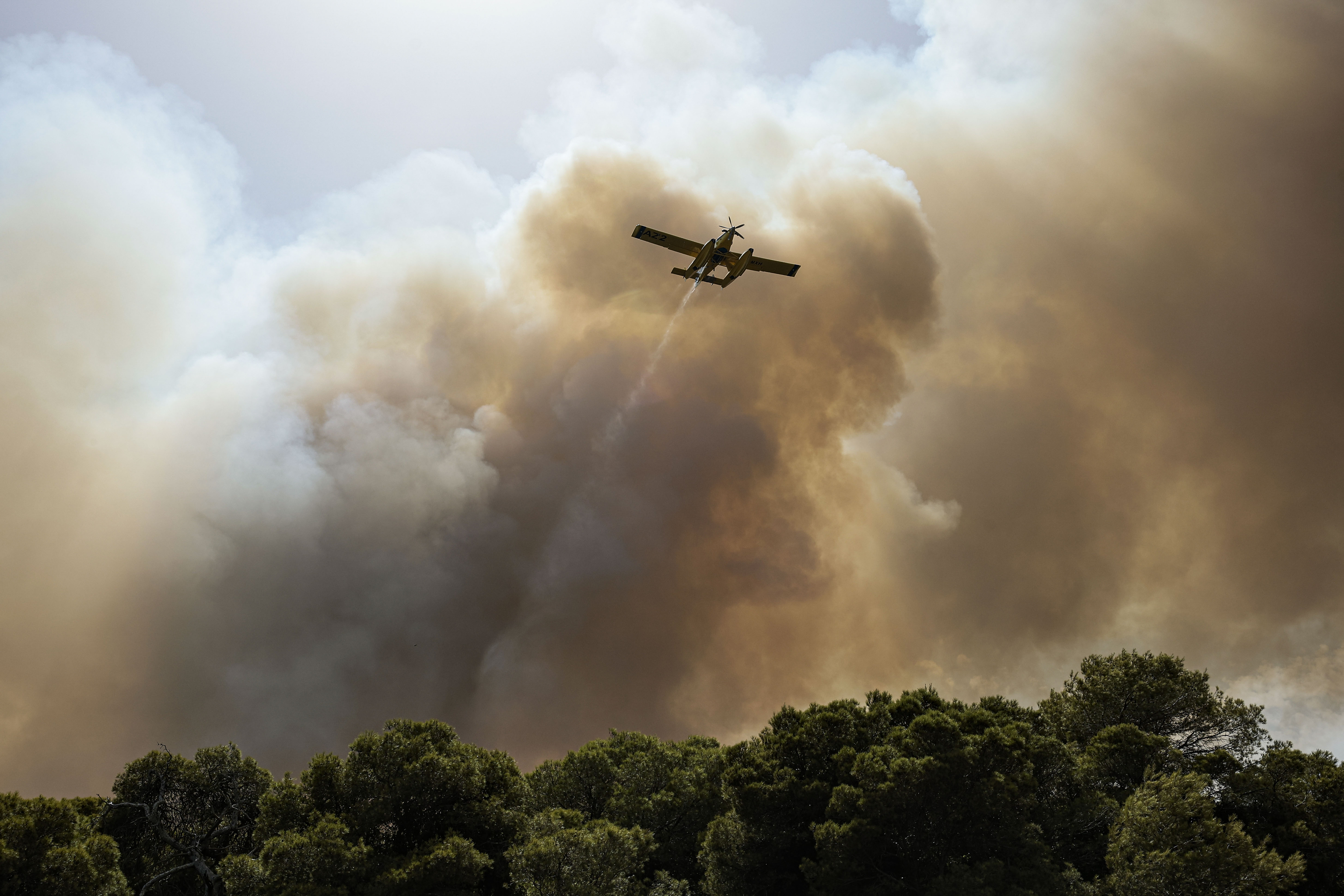 Evacúan el pueblo de El Saler por un incendio forestal junto al parque natural de La Albufera