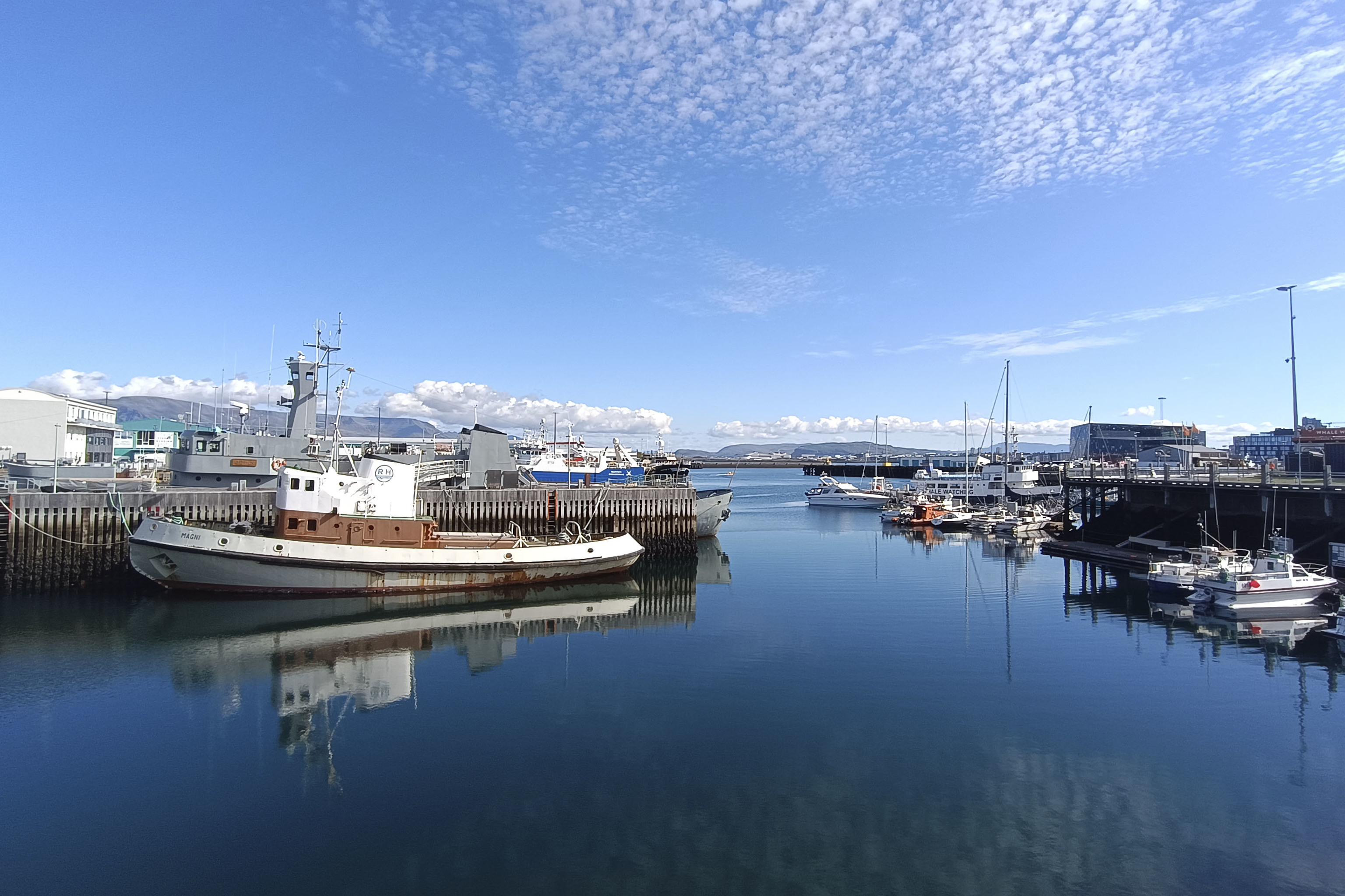 El decisivo voto de la Islandia rural
