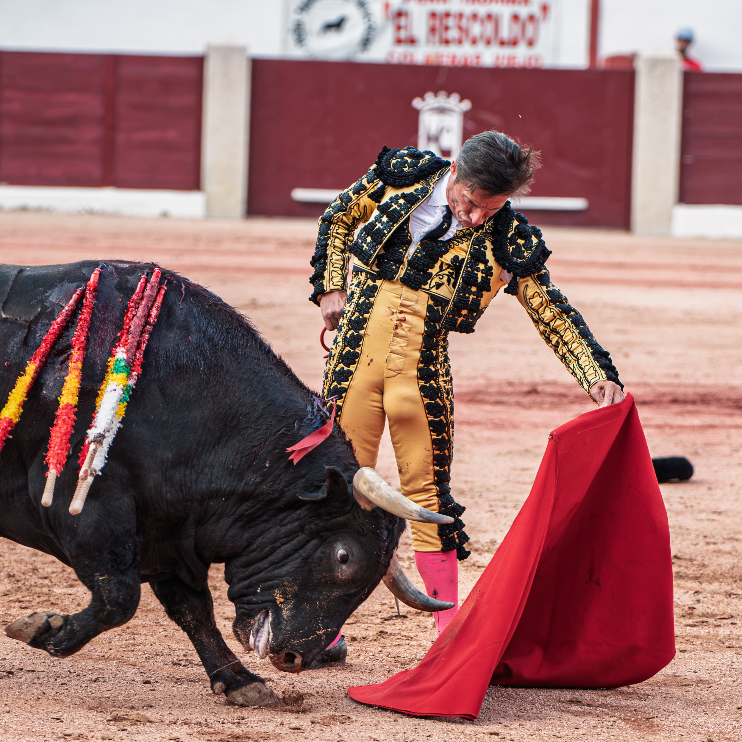 Diego Urdiales vuelve a tocar el cielo del toreo en Colmenar Viejo